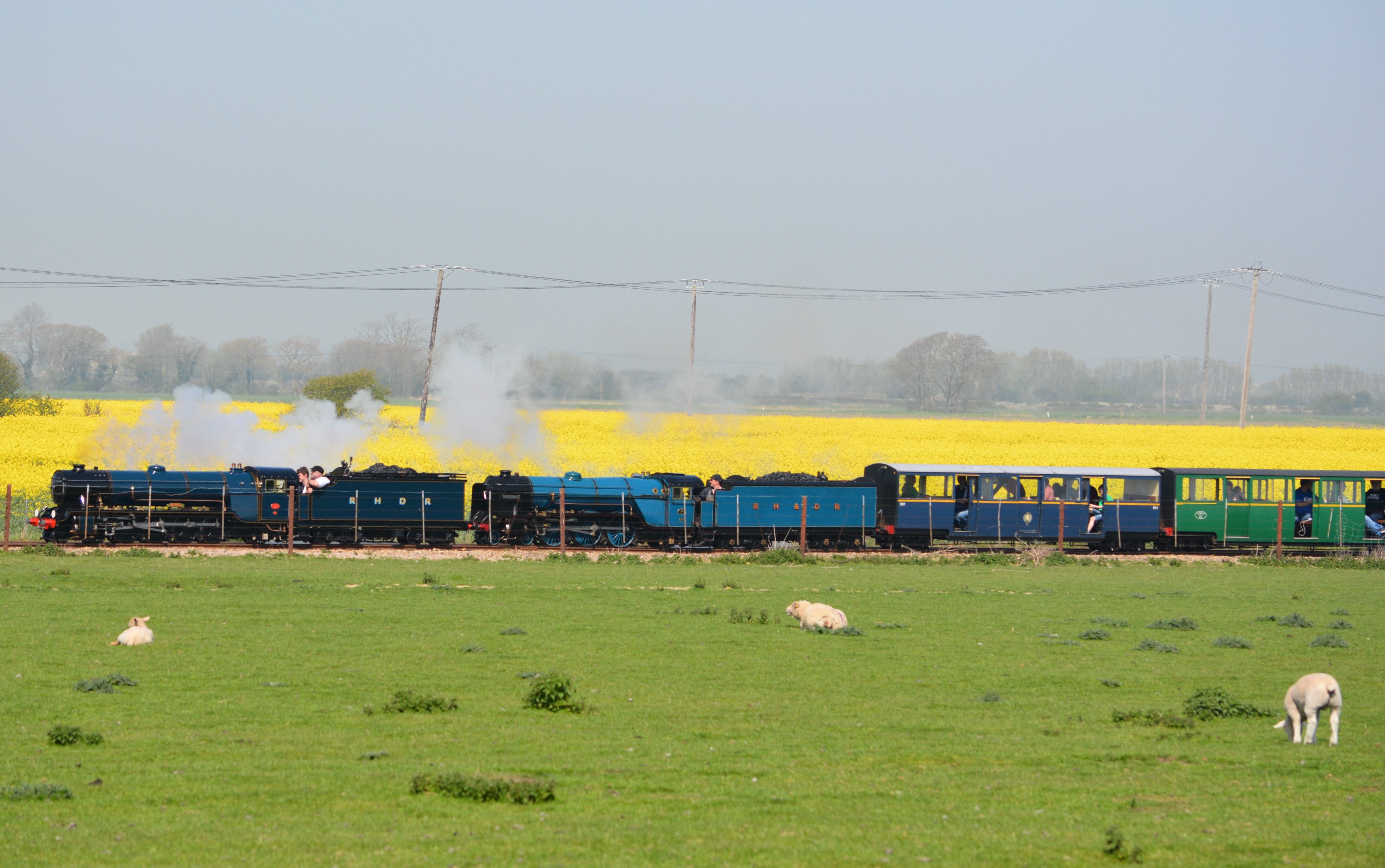 Samson Travelling Through the Romney Marsh
