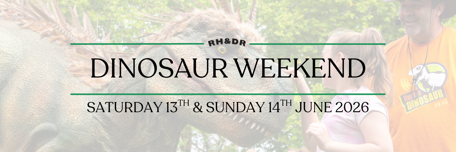 Dinosaur Weekend