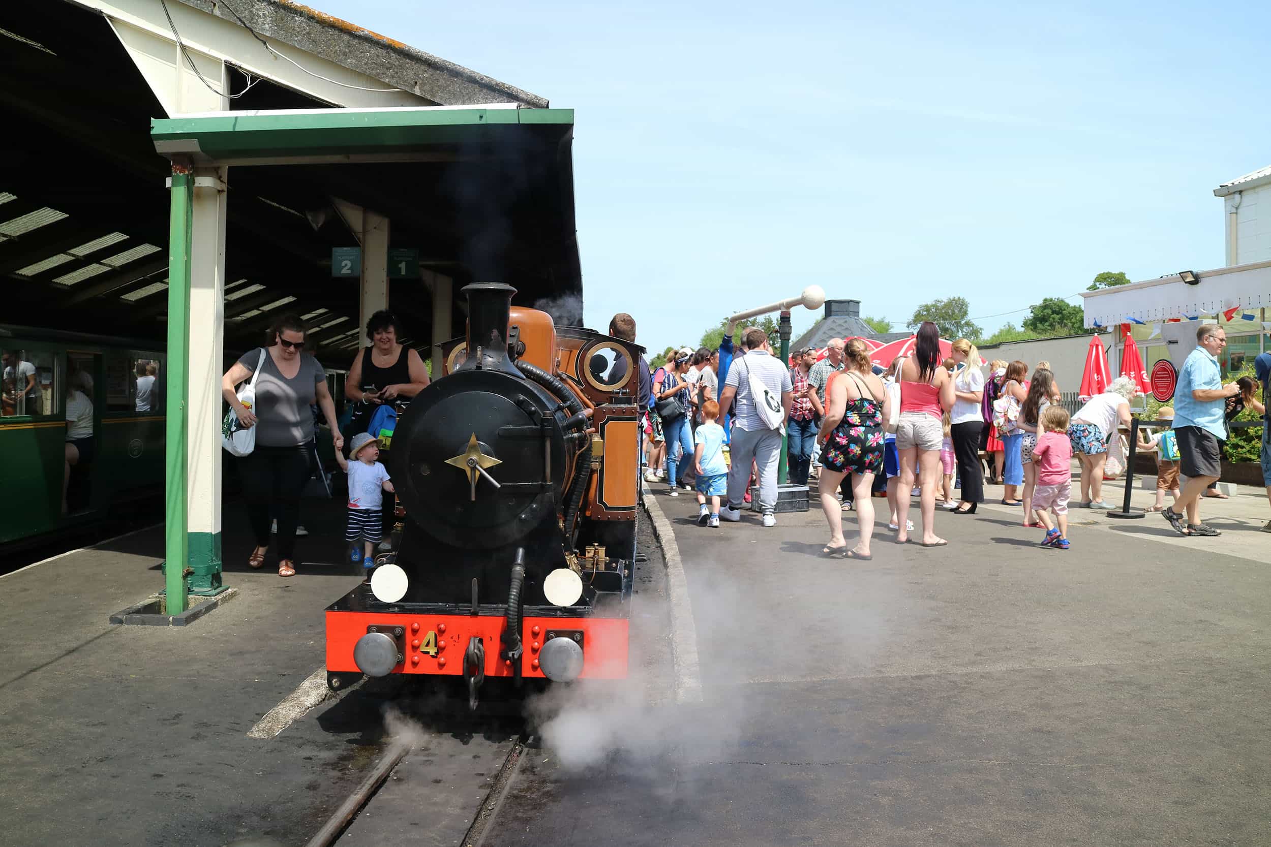 The Bug's Little Activities