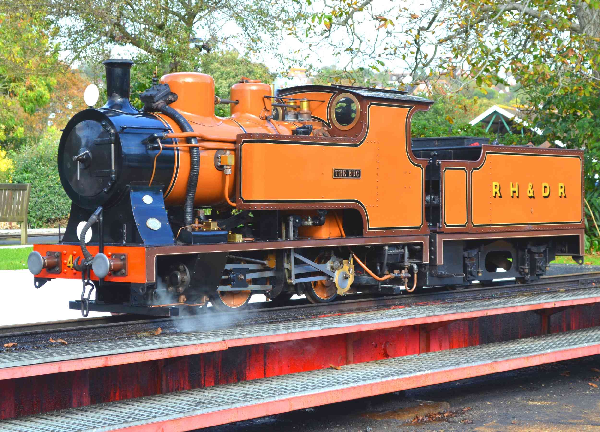 The Bug's Book Worms